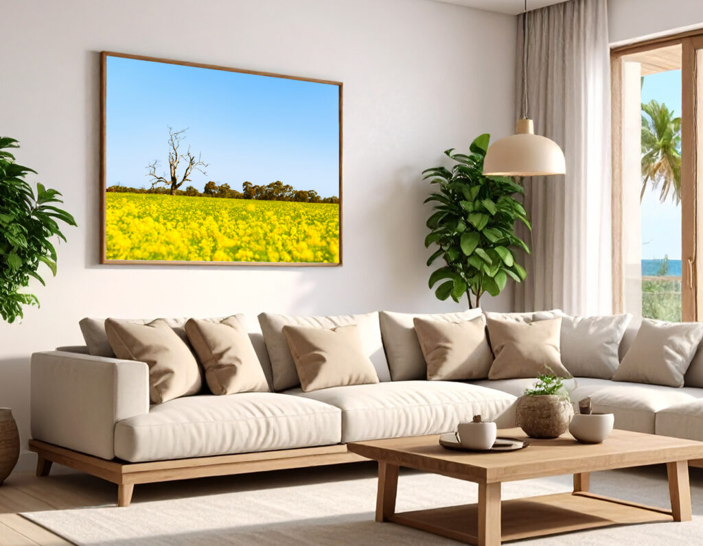 Canola Fields