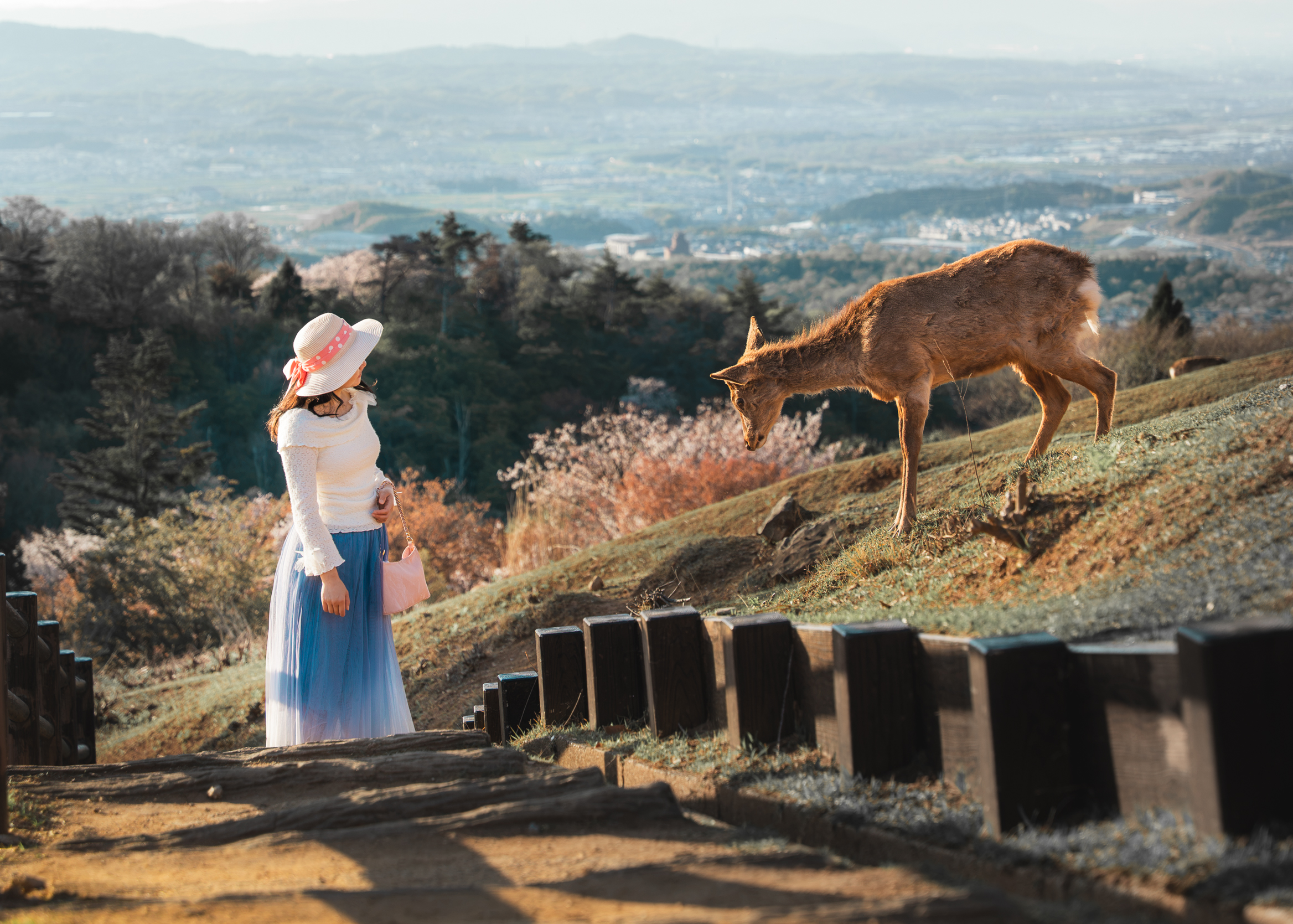 photo session in nara 2
